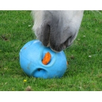 Horse Carrot Treat Ball